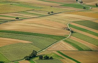 Agriculture